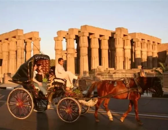 Luxor City Tour by Private Horse Carriage | Cultural & Romantic Ride