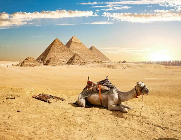Classic Cairo Tour: Giza Pyramids with Camel Ride & Egyptian Museum Visit
