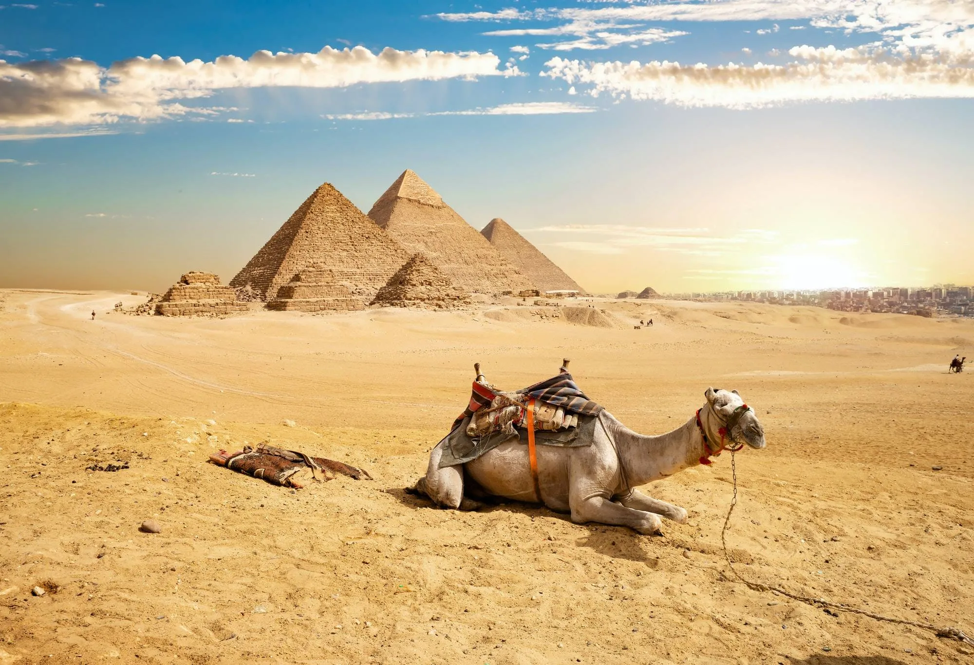Classic Cairo Tour: Giza Pyramids with Camel Ride & Egyptian Museum Visit