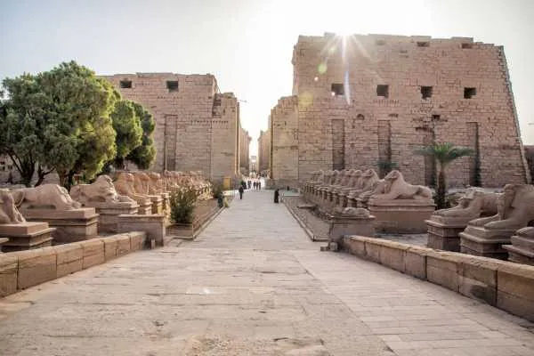 Day tour to Luxor from Cairo by flight