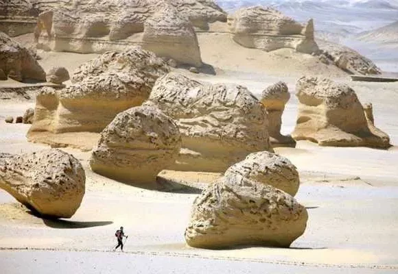 Tour to Whales Valley and Wadi El Rayan Waterfalls in El Fayoum from Cairo