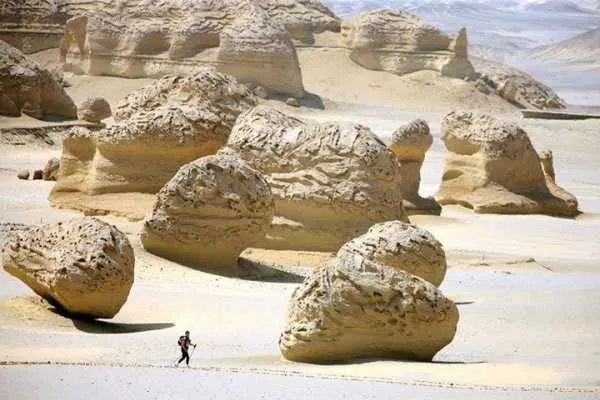 Tour to Whales Valley and Wadi El Rayan Waterfalls in El Fayoum from Cairo