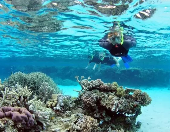 Ras Mohamed Snorkeling Trip from Sharm | National Park Boat Tour