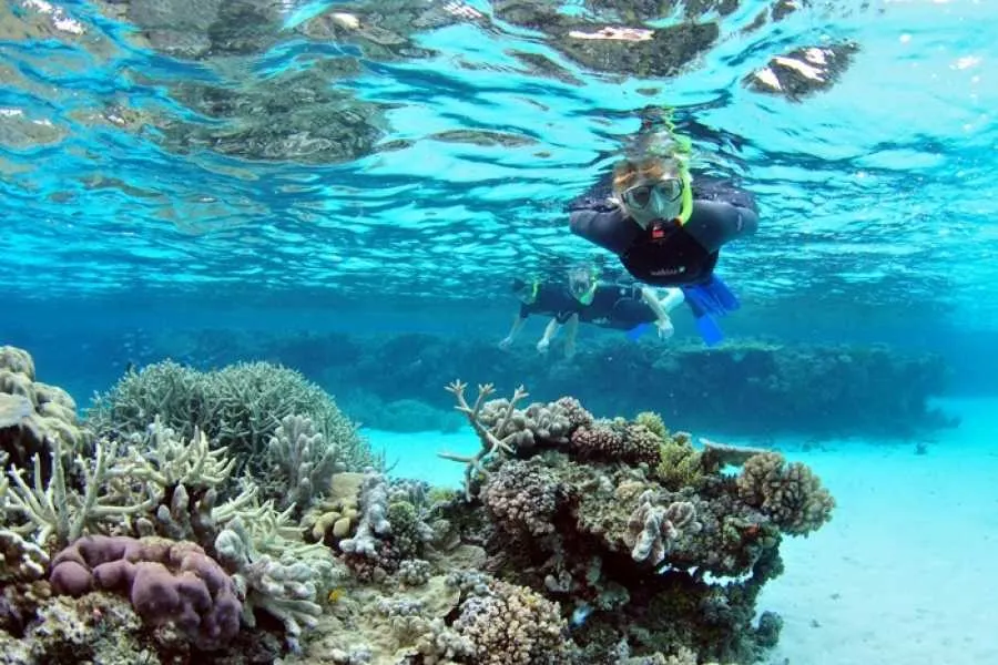 Ras Mohamed Snorkeling Trip from Sharm | National Park Boat Tour