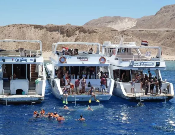 Tiran Island Snorkeling Trip from Sharm | Boat Tour & Lunch 2025