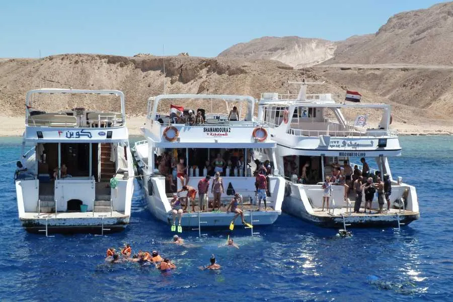 Tiran Island Snorkeling Trip from Sharm | Boat Tour & Lunch 2025