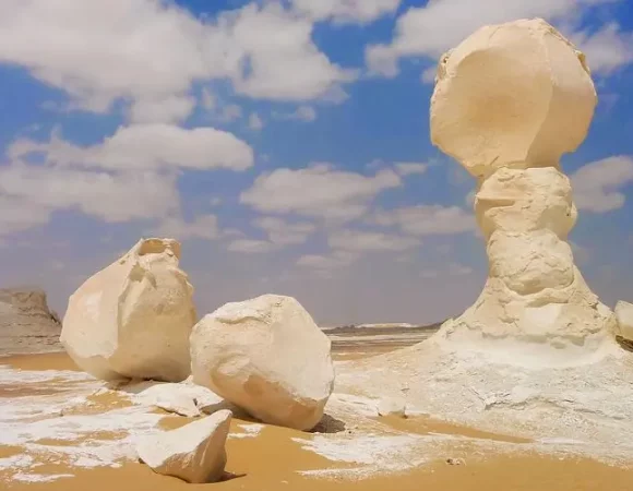 DAY TRIP TO BAHARIYA OASIS VISIT BLACK AND WHITE DESERT FROM CAIRO