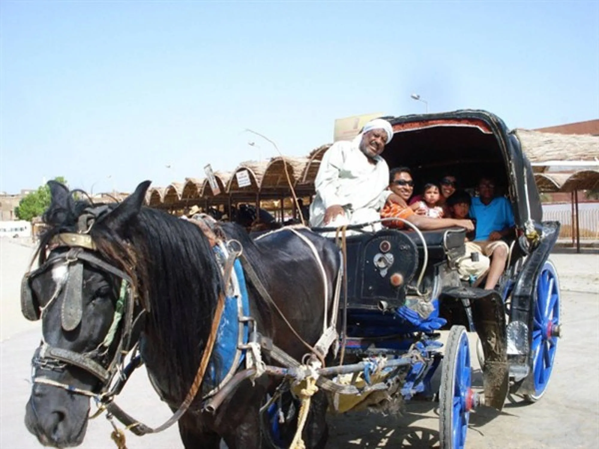 Aswan City tour on Horse Carriage