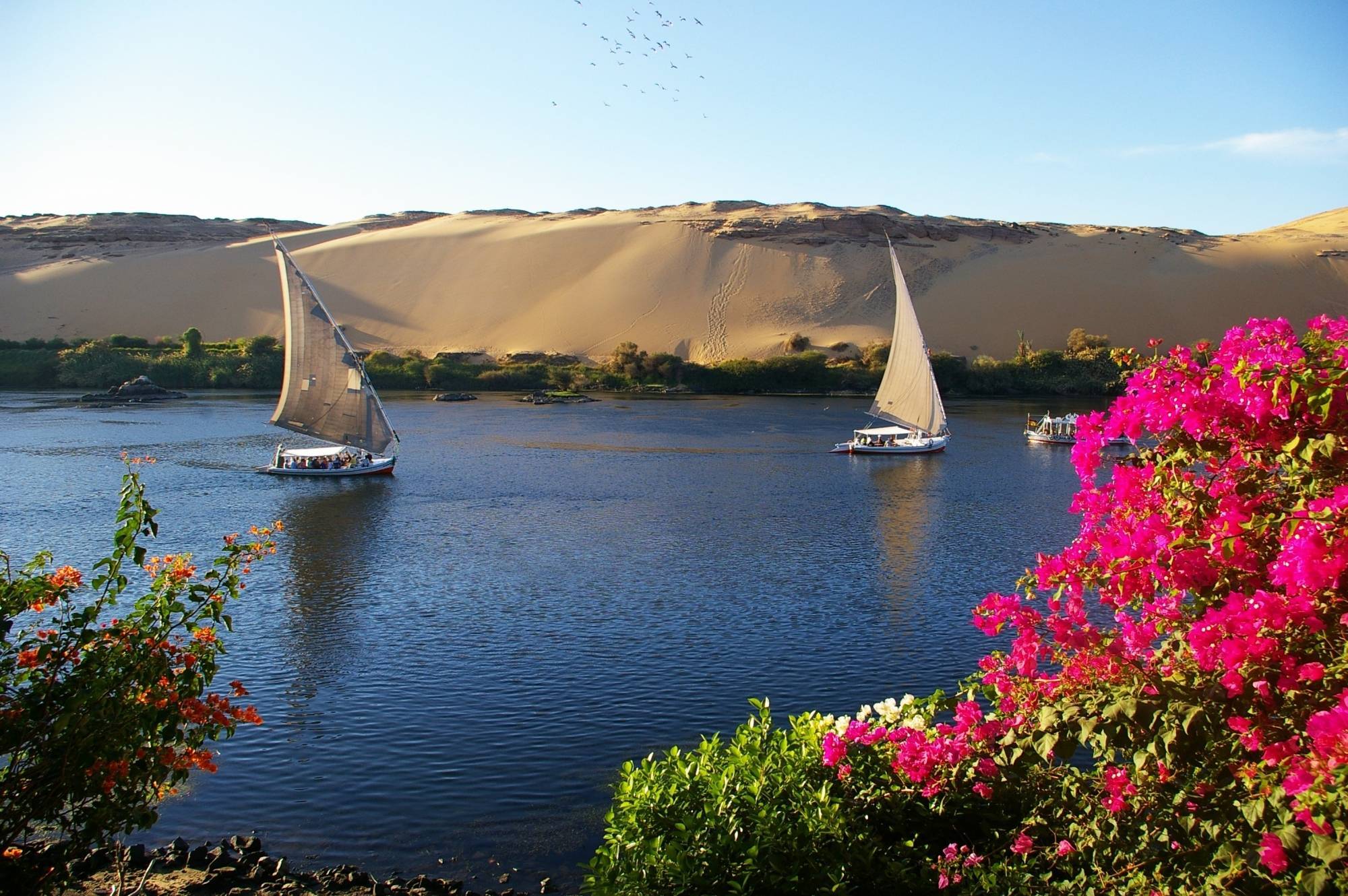 Private tour to Botanical garden with Felucca ride on Aswan Nile River