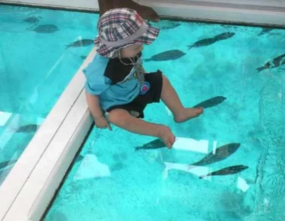 Glass Bottom Boat Trip in Sharm | See Red Sea Marine Life Without Getting Wet