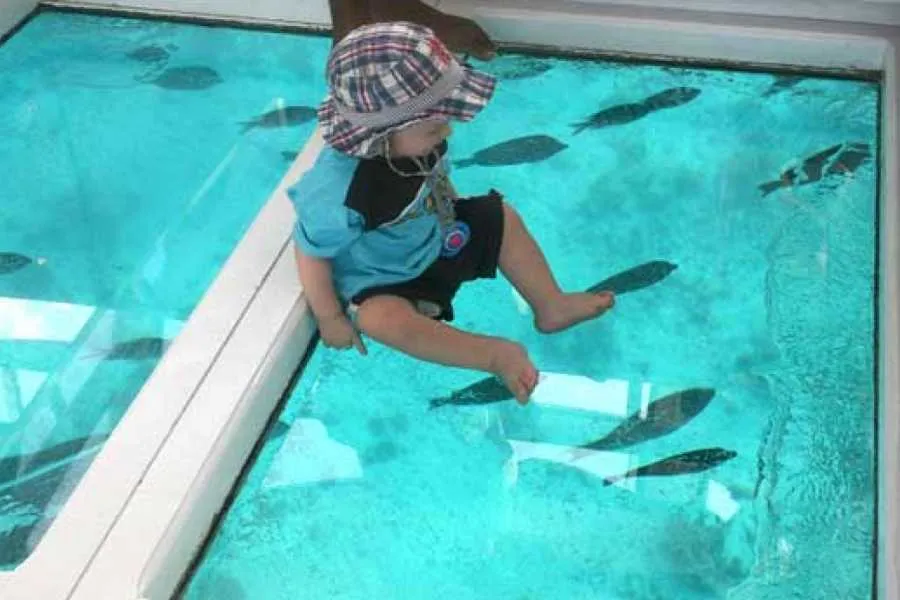 Glass Bottom Boat Trip in Sharm | See Red Sea Marine Life Without Getting Wet