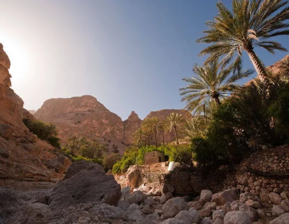 Private Jeep Safari to Wadi Qunai & Three Pools from Dahab | Desert Adventure