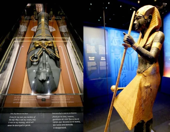 King Tut Museum Tour in Sharm El Sheikh | Private Half-Day Visit