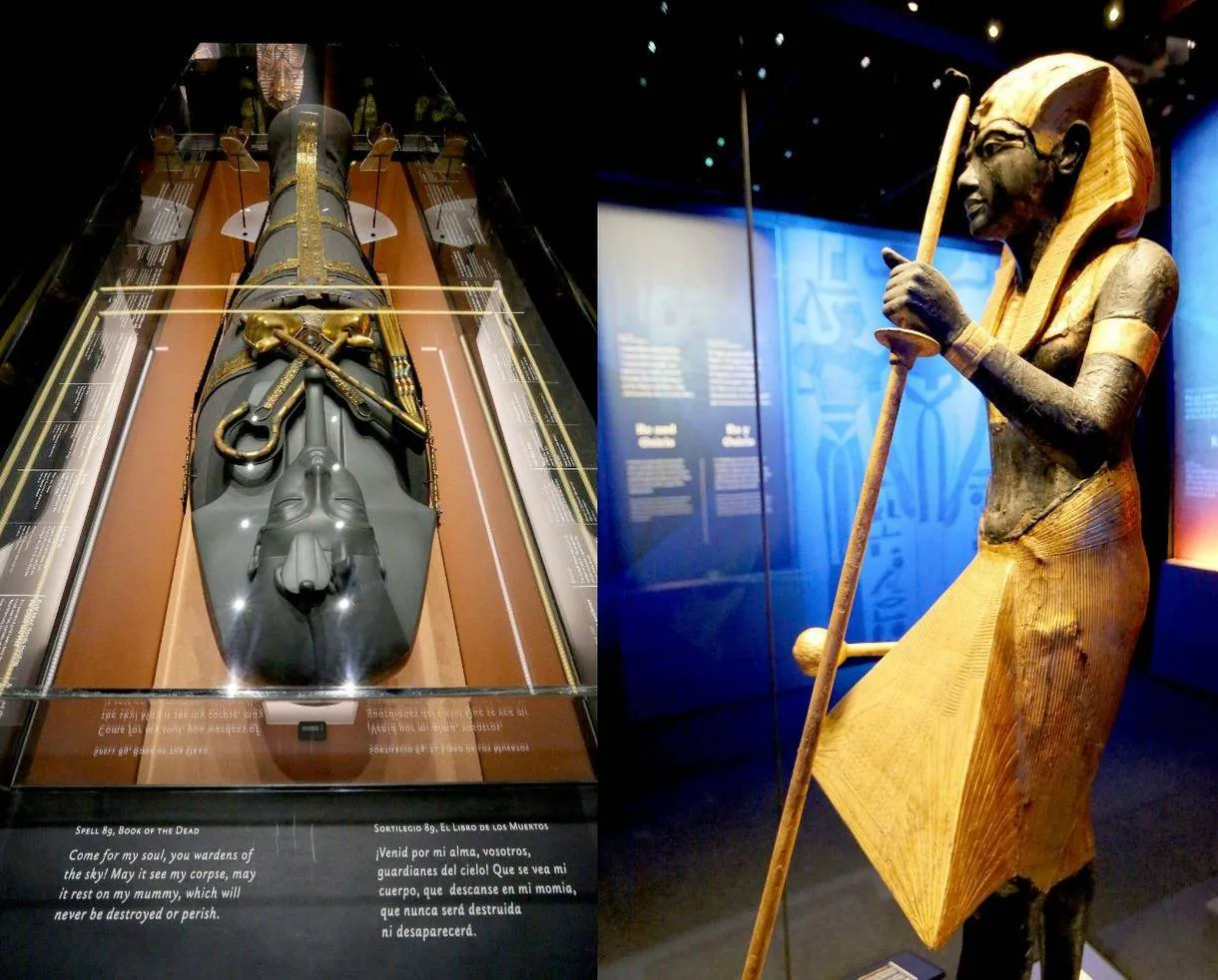 King Tut Museum Tour in Sharm El Sheikh | Private Half-Day Visit