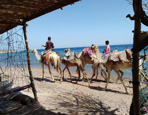 Private Day Tour to Three Pools Dahab | Snorkeling, Camel Ride & Lunch