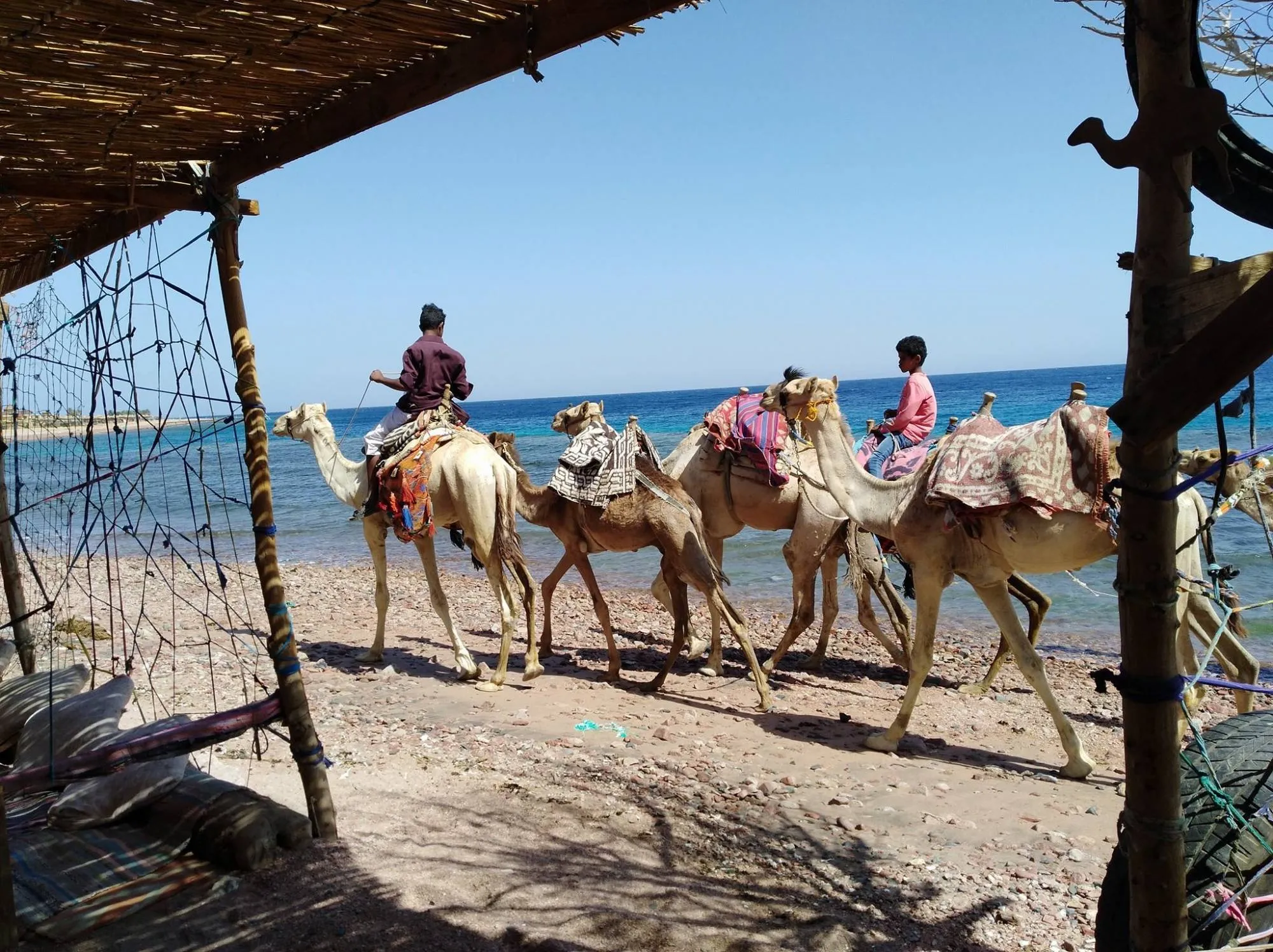 Private Day Tour to Three Pools Dahab | Snorkeling, Camel Ride & Lunch