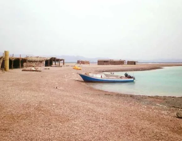 Private Day Tour to Blue Lagoon & Ras Abu Galum from Dahab | Snorkeling & Camel Ride