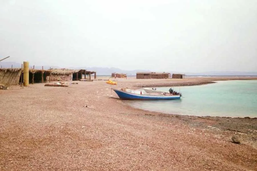 Private Day Tour to Blue Lagoon & Ras Abu Galum from Dahab | Snorkeling & Camel Ride