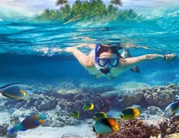 Budget Snorkeling Trip to Sharm El Naga Bay from Hurghada | Coral & Marine Life