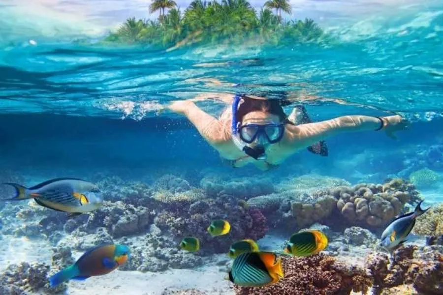 Budget Snorkeling Trip to Sharm El Naga Bay from Hurghada | Coral & Marine Life